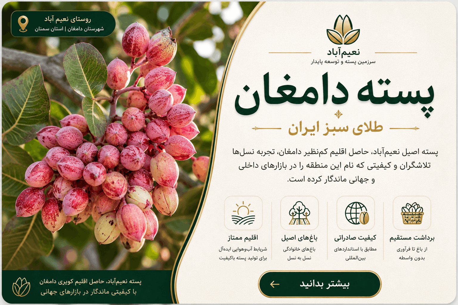 پسته دامغان